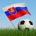 slovensko_futbal_vlajka[1]
